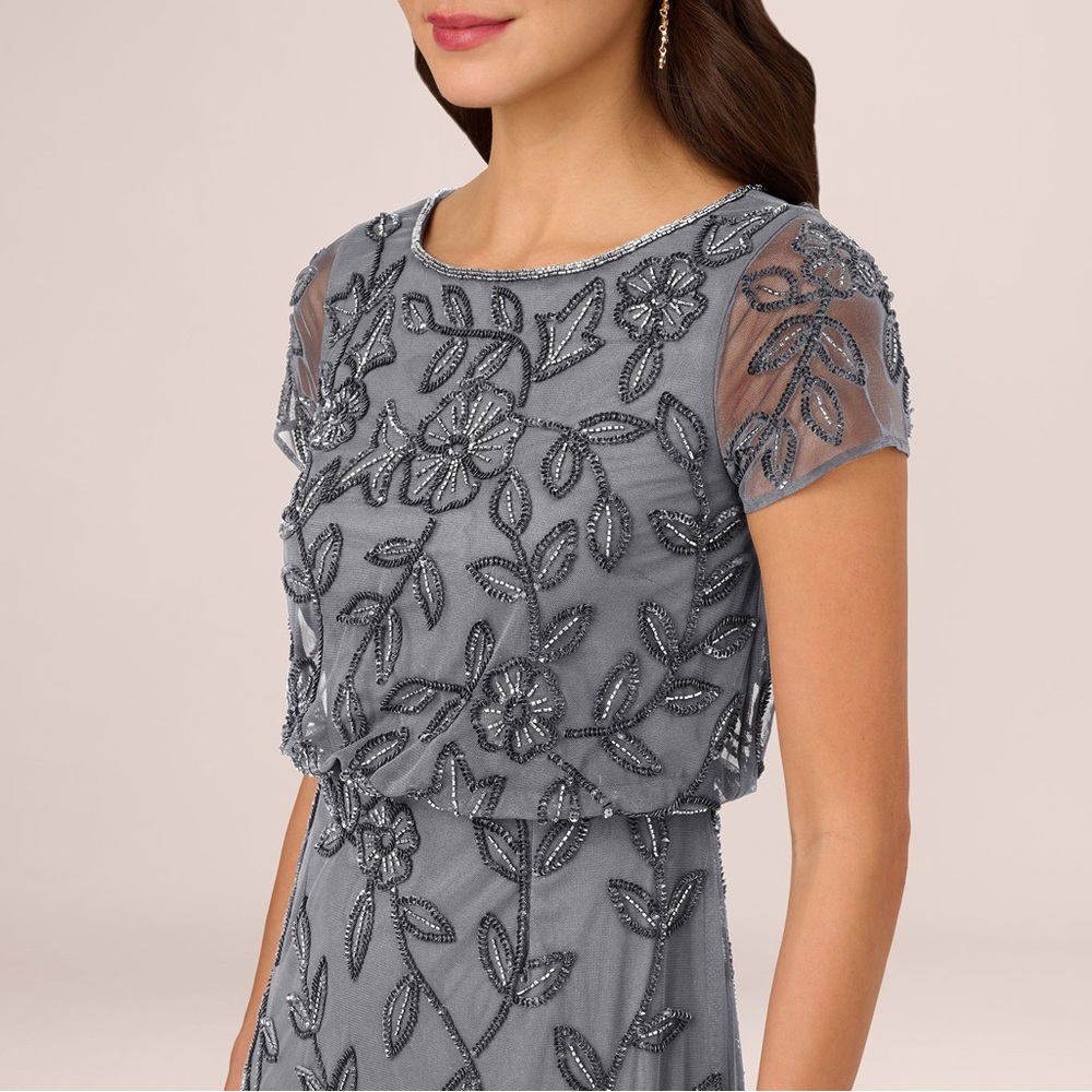 Adrianna Papell SZ 22W NWT Beaded Mesh Evening Gown MOB Short Sleeve Elegant MOG - Picture 3 of 16